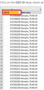 Click on the GEO ID drop-down and type in the GEO ID from the U.S. Government geocoding lookup tool